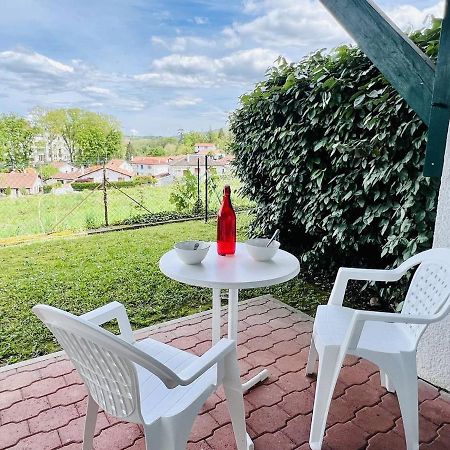 Studio Eglantine A Cambo-Les-Bains, Proche Thermes, Terrasse, Parking, Acces Internet, Animaux Ok - Fr-1-495-106 ภายนอก รูปภาพ